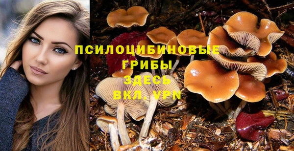 a pvp Беломорск
