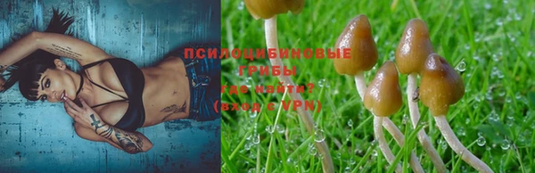 не бодяженный Белокуриха