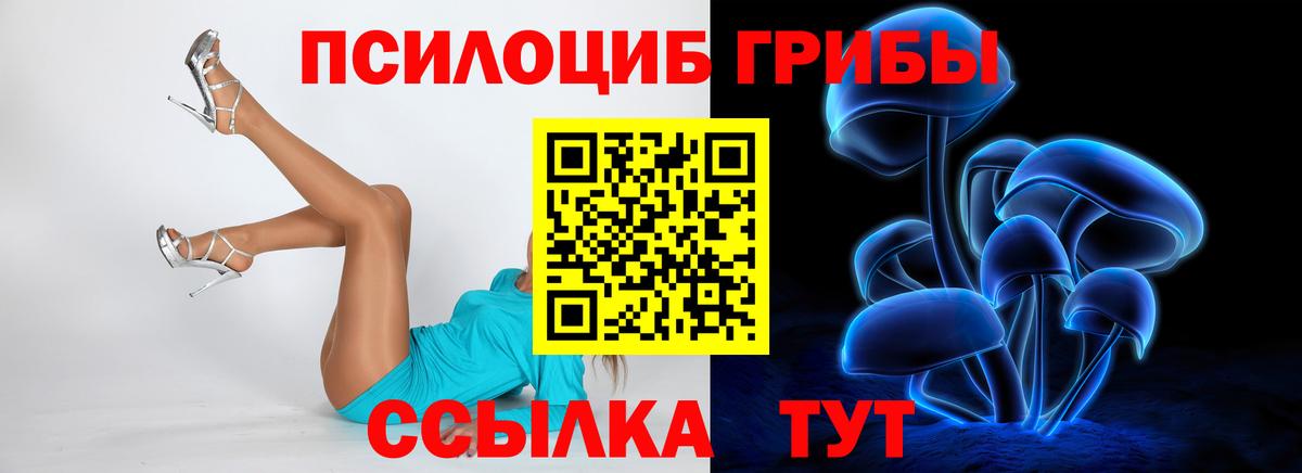 Псилоцибиновые грибы Cubensis Дальнегорск